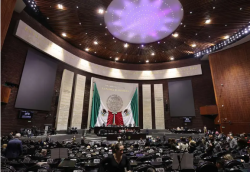 Aligeran impuestos a los refrescos light; los diputados avalaron gravámenes para 2026